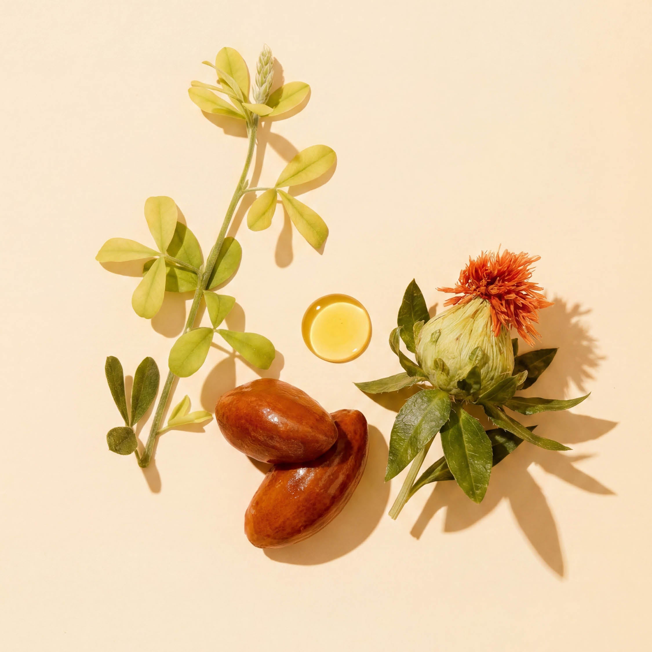 my-lubie-huile-soin-massage-corps-jojoba image 4