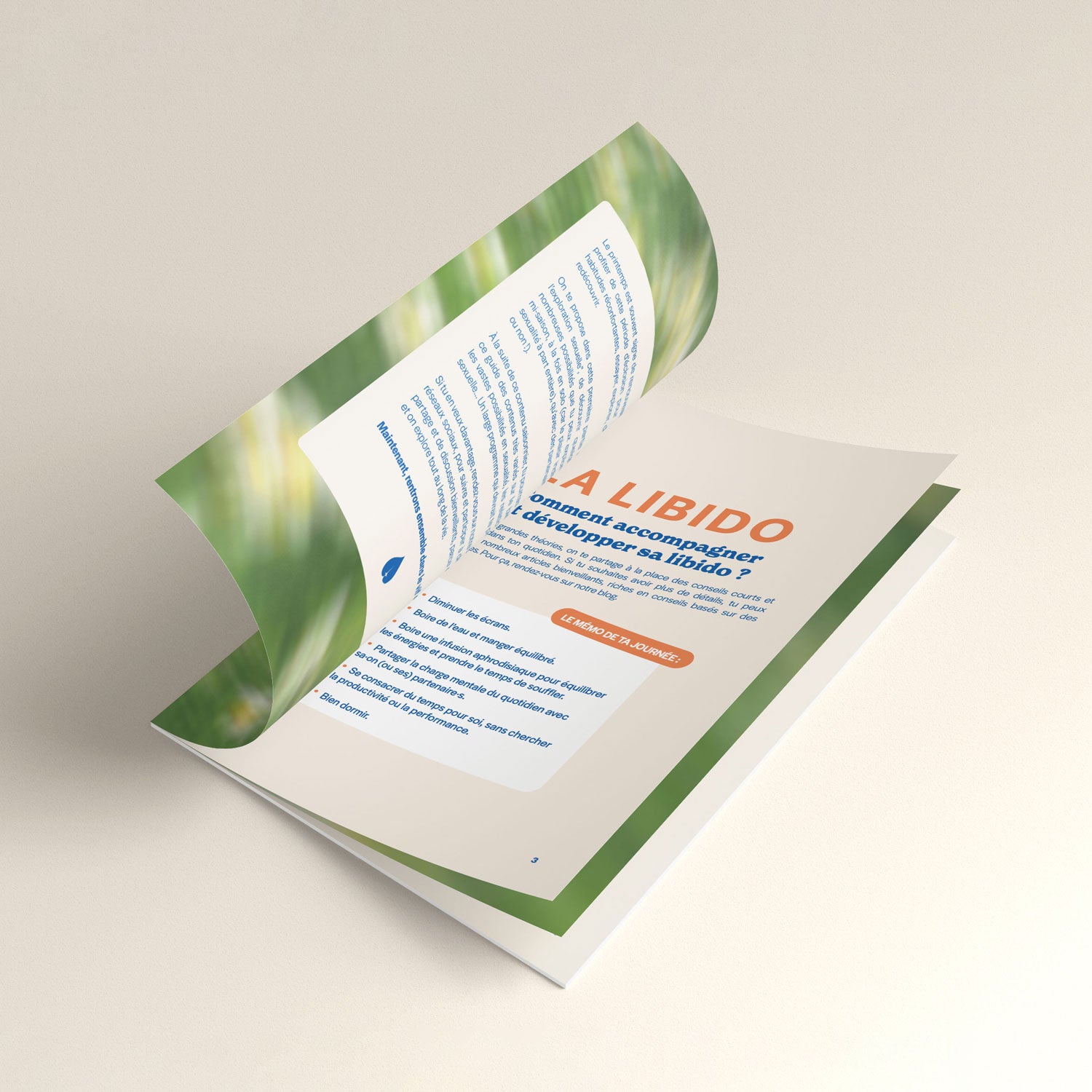 my-lubie-guide-du-printemps-livre-intimit-couple-40-pages image 3